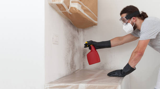 Professional Bathroom Mold Removal technician working in Freeport, NY